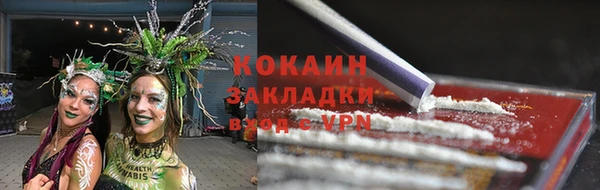 крисы Белокуриха