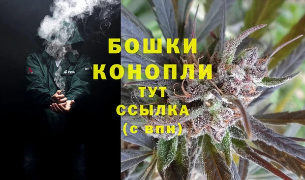 спайс Баксан