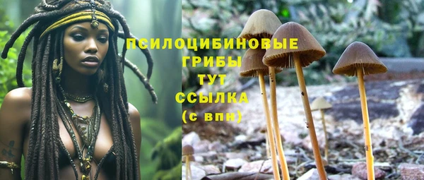 сатива Белоозёрский