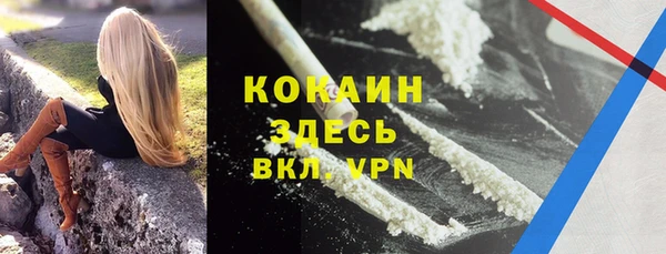 крисы Белокуриха