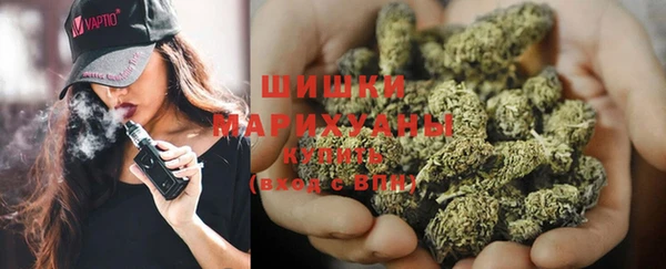сатива Белоозёрский