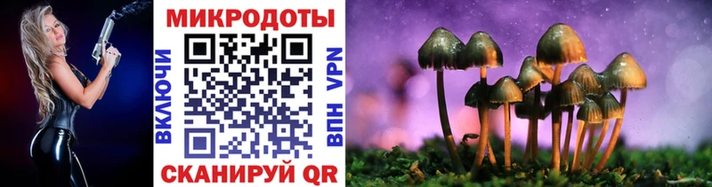 shop наркотические препараты  Томилино  Галлюциногенные грибы ЛСД 